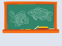 Fish Curriculum