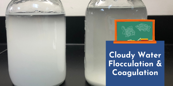 Fish Learning Fridays | Cloudy Water Flocculation & Coagulation