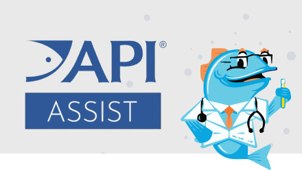 API Assist