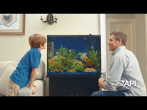 API® brand launches its first ever streaming... | API Fishcare