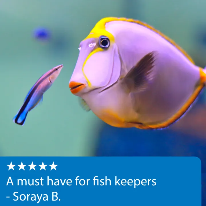 0f11a29625f8bf7d6bda628ed0b21e6cbefc62e9.png