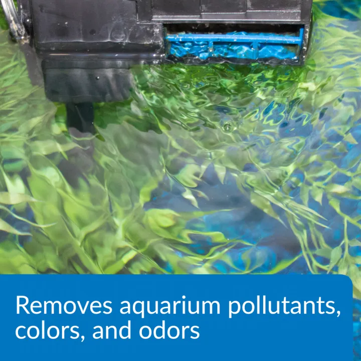 Planted aquarium image explaining API treatment removes pollutants, colors and odors