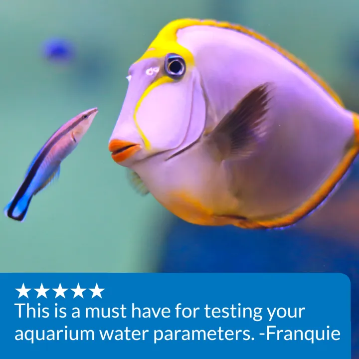655e60fa582f421cca9b5357e7ea28b6ecb2adb6.png