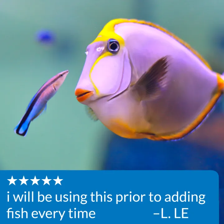 65b587757bdd22818532c3b4ed257e846cbf6dc2.png