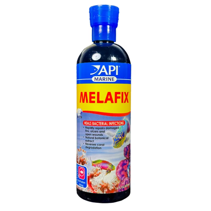 672d29d0c92a2f35fee199a5bd5571585d5a0913.png