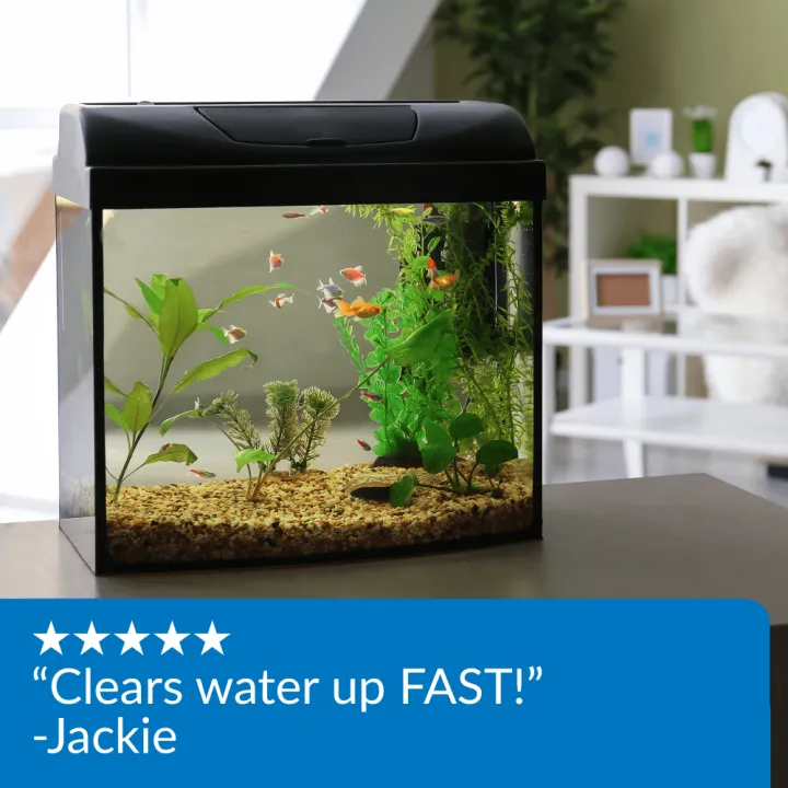 Customer review showing API treatment clears aquarium water quickly