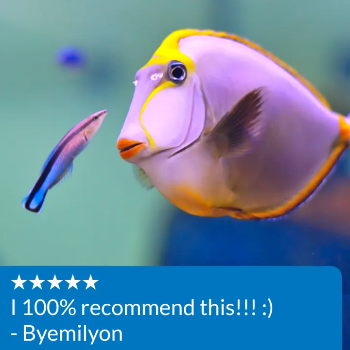 78fbdaad7bf3ba613bf449a2c812550506f63069.png