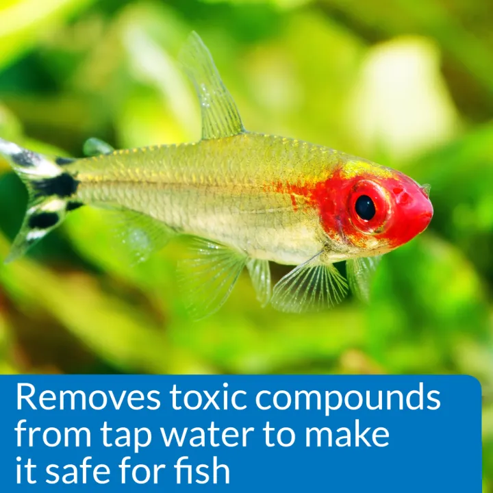 88adec5efdf08761b0bdd44f0233bd087b79fa13.png
