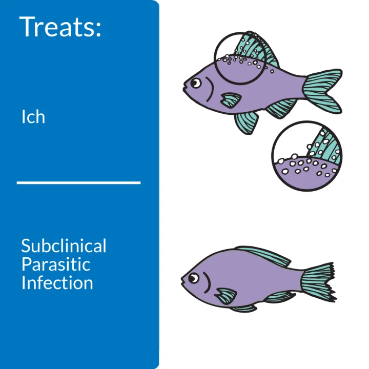 beicuoywr9giraekzjhs.png