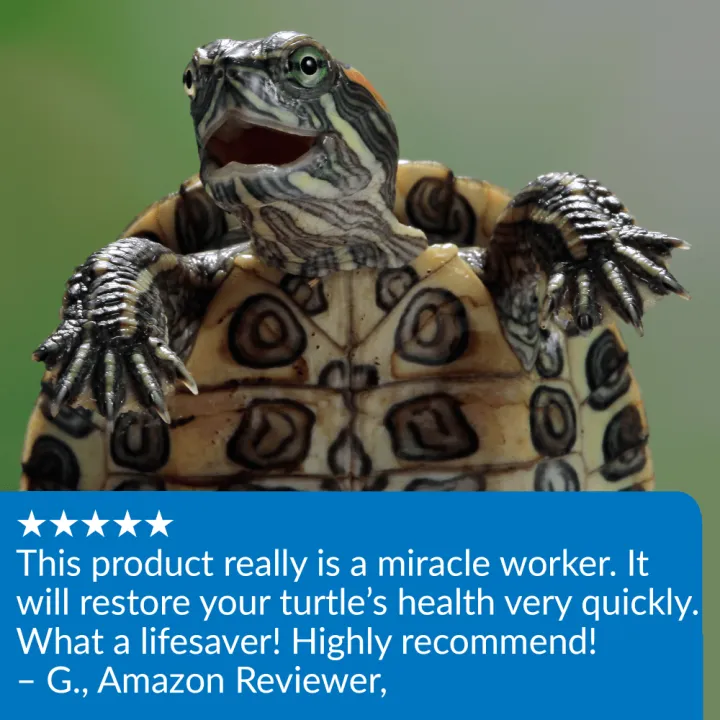 e1a71f0c92752acfe9c476faac008334ee11d0fe.png