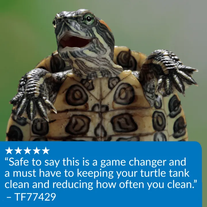 g4sdchsjkha75hgcerqq.png
