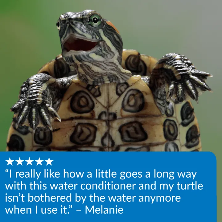 gl2uvjglipmp0qzsqtml.png