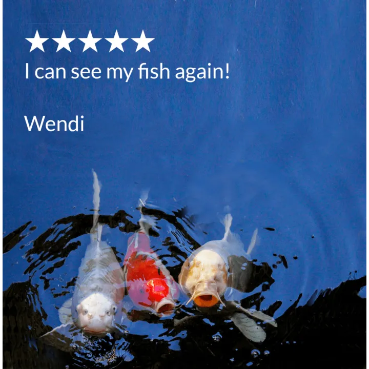 mlwpm7fd2fl1a9tn8p38.png