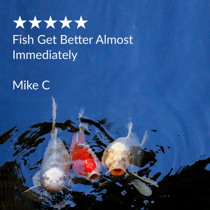 nifikqlfaofybopai0k8.png