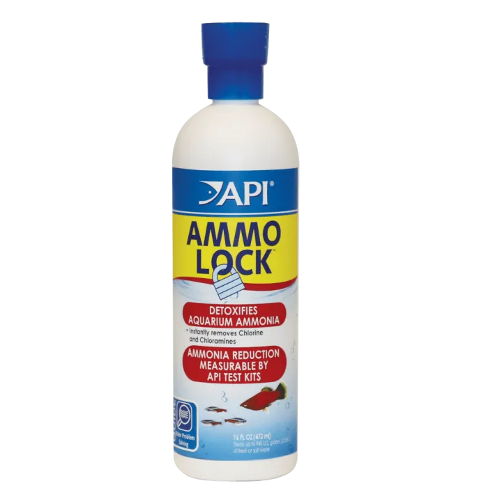 vdr1pjeyou1httl08vwr.png