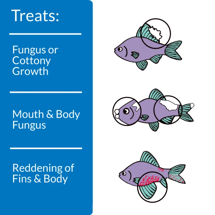 zvlwv6gr37dqp9auttdt.png