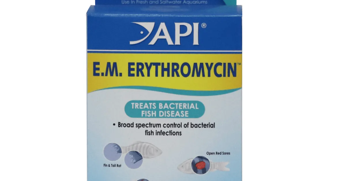 API EM Erythromycin Powder Packets | API Fishcare