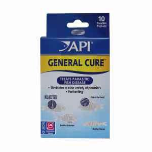 b02527806f9bfe92e4869e470a43384387b4a0a0.png