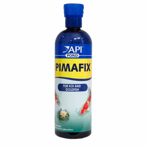 d1a55bc751ed80a0578fb0531ef17d242d50fd02.png