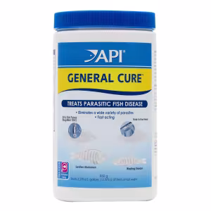dalahjjbpodadicdvctg.png